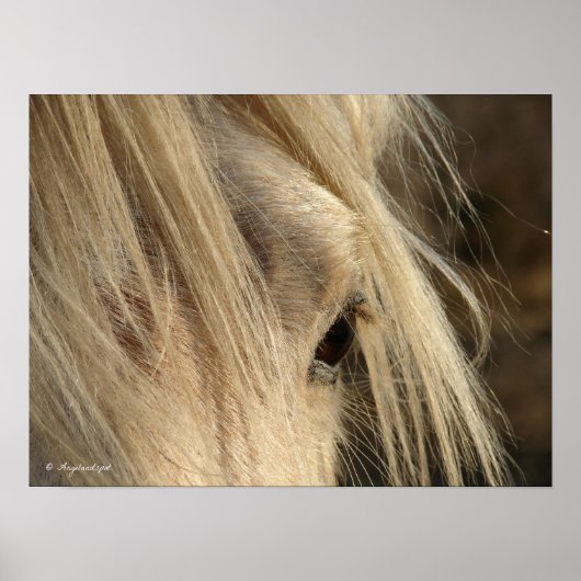 Poster Messy Mane (Devant)