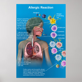 Poster met allergische reactie