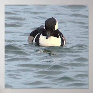 Poster met Amerikaanse nonnetjes