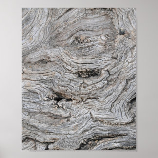 Poster met basttextuur van olijfboom