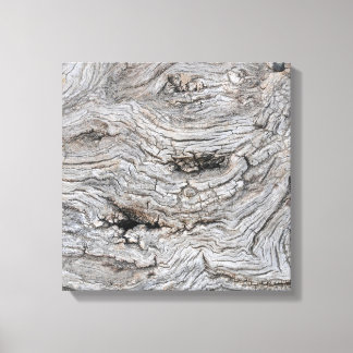 Poster met basttextuur van olijfboom canvas afdruk