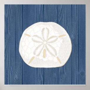  Poster met blauw hout voor zanddollaire 
