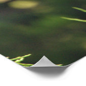 Poster met de geelbruin Night-Heron (Hoek)