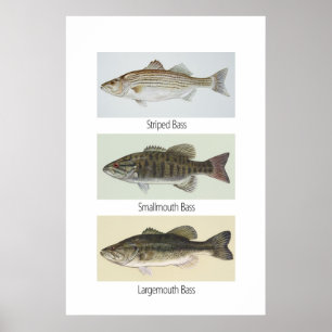 Poster met drie bits