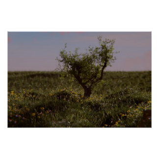 Poster met eenzame boom perfect poster