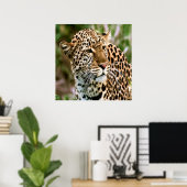 Poster met gebotteld luipspuit (Thuiskantoor)