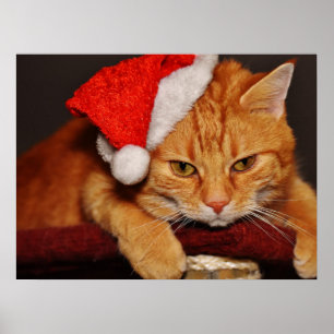 Poster met Grumpy Cat in een Rode Kerstman Hoed