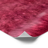 Poster met jonge suikerglider (Hoek)