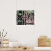 poster met kale Cypress-bomen (Keuken)