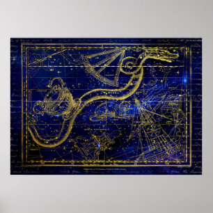 poster met kat en slang sterrenbeeld