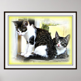 Poster met keukenkooksing