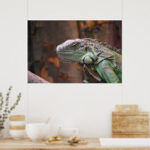 Poster met kleurrijke Iguana hagedis (Keuken)