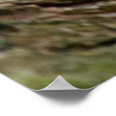 Poster met luipaard (Hoek)