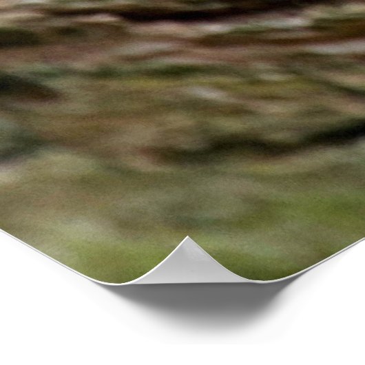 Poster met luipaard (Hoek)