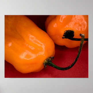Poster met pittige habanero pepers