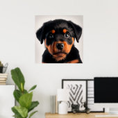 Poster met portret van een schattige Rottweiler pu (Thuiskantoor)