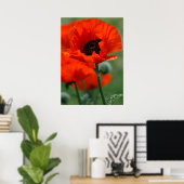 Poster met rode papaver (Thuiskantoor)