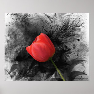 Poster met rode tulpen