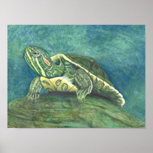 Poster met roodwangschildpad