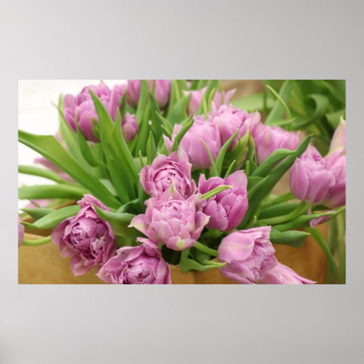 Poster met roze tulpen (Voorkant)