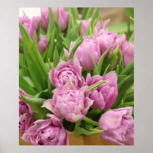 Poster met roze tulpen