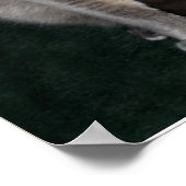 Poster met snoepgoed (Hoek)