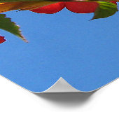 Poster met Trumpet Vine Flowers (Hoek)