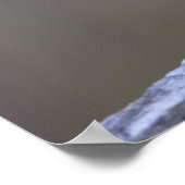 Poster met vogelbaars (Hoek)