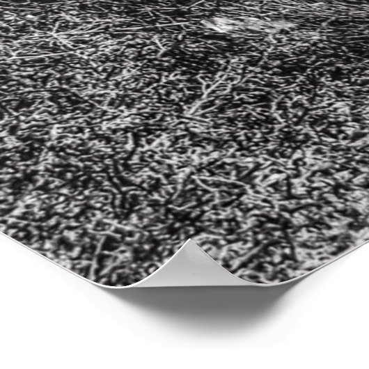 poster met weerboot (Hoek)