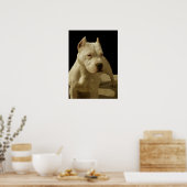 Poster met witte peerkop (Keuken)