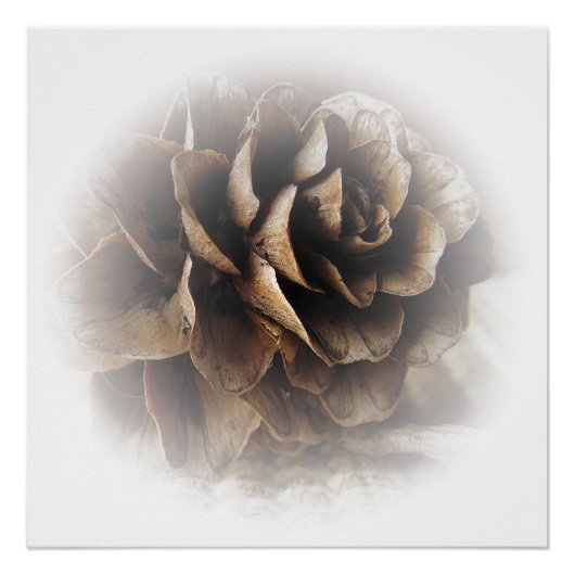 Poster met zetmeel perfect poster (Voorkant)