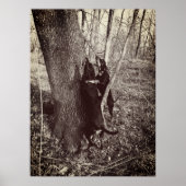 Poster met zwarte en Tan Coon Hounds (Voorkant)