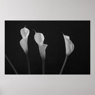 Poster met zwarte en witte bloemen