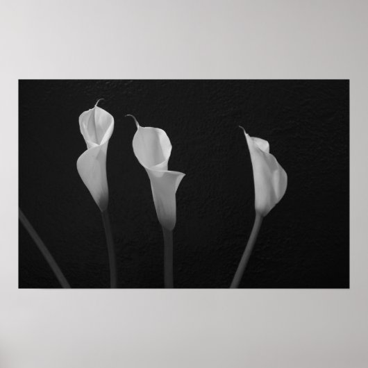 Poster met zwarte en witte bloemen (Voorkant)