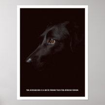 Poster met zwarte hond