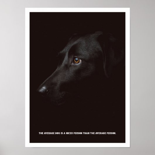 Poster met zwarte hond (Voorkant)