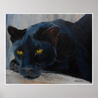 Poster met zwarte kat