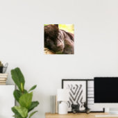 Poster met zwarte panthersliep (Thuiskantoor)