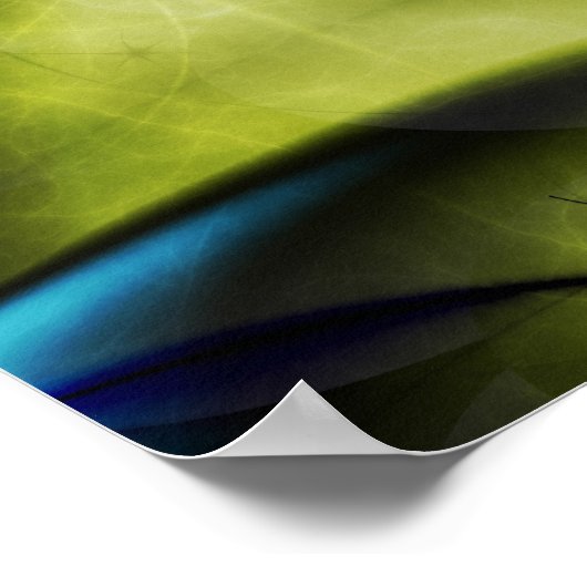 Poster Métamorphose (Coin)