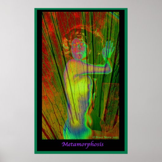 Poster Métamorphose (Devant)