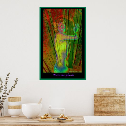 Poster Métamorphose (Cuisine)