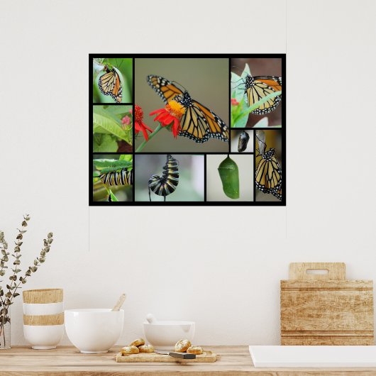 Poster Métamorphose (Cuisine)