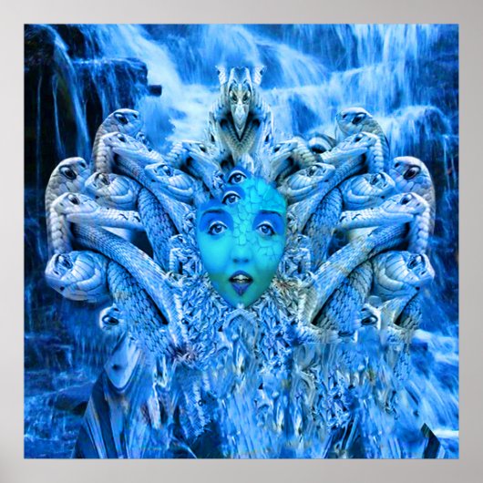 Poster Métamorphose de la méduse (Devant)