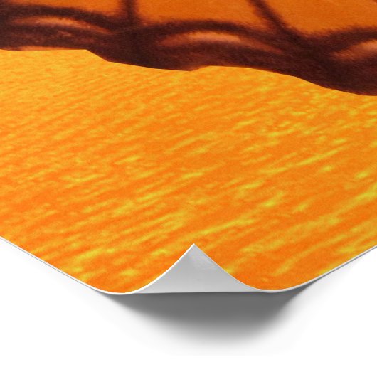 Poster Métamorphose de Nosferatu Dracula (Coin)