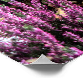 Poster Météo et baies (Coin)