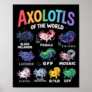 Poster Mets Axolotls Du Monde Kawaii Axolotl Cute Art