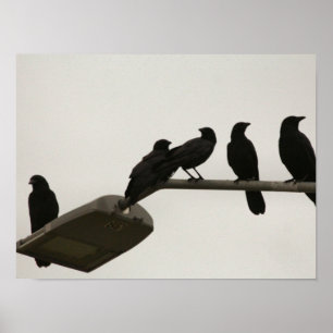 Poster Meurtre dans la rue