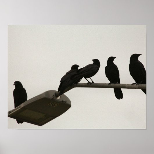 Poster Meurtre dans la rue (Devant)