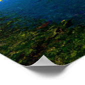 Poster mevagissey (Coin)