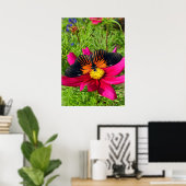 Poster Mexican aster flower with a Doris Longwing  (Bureau à domicile)